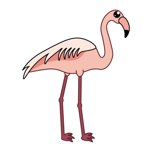 flamand rose Pictogramme