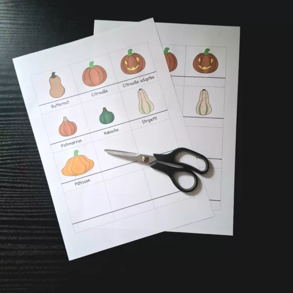 Pictogramme cucurbitacée Pictogramme Citrouille