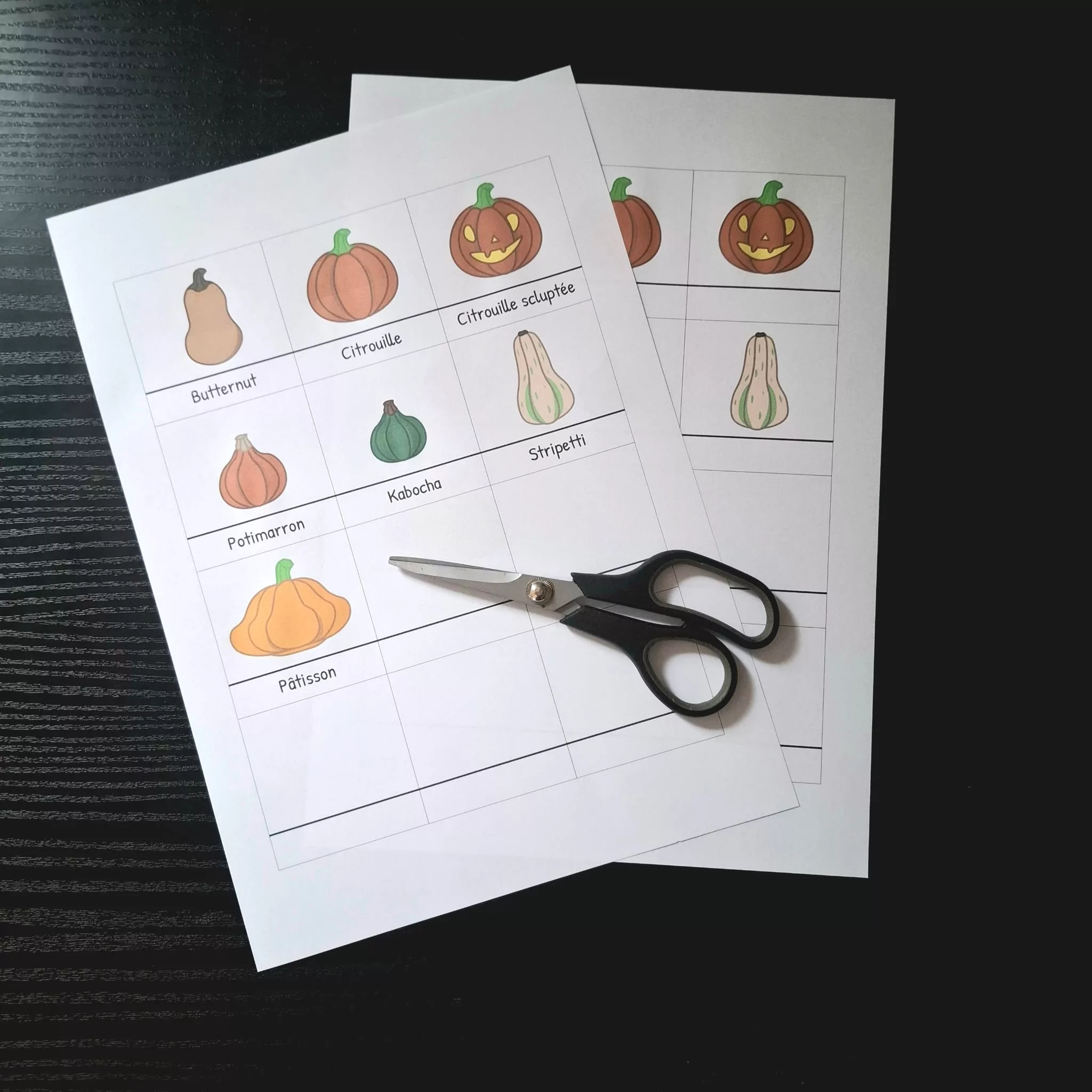 Pictogramme cucurbitacée Pictogramme Citrouille