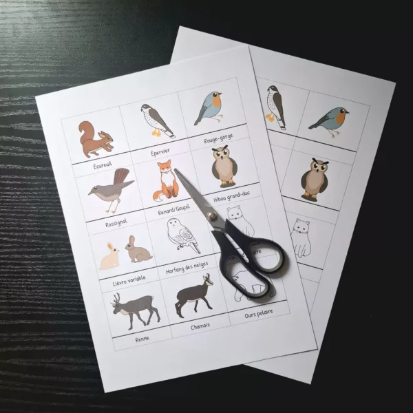 Pack - Pictogrammes  animaux d'Europe