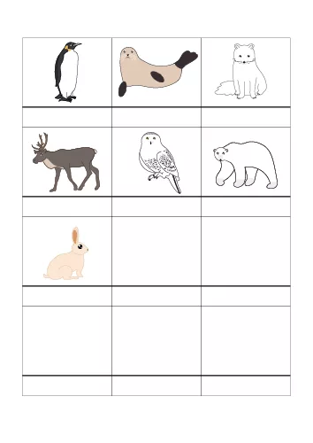 Pack Pictogrammes Animaux Polaires d’Orage Coloré : manchot, phoque, renard polaire, renne, harfang des neiges, ours polaire et lièvre arctique. Idéal pour activités éducatives, CAA et PECS.