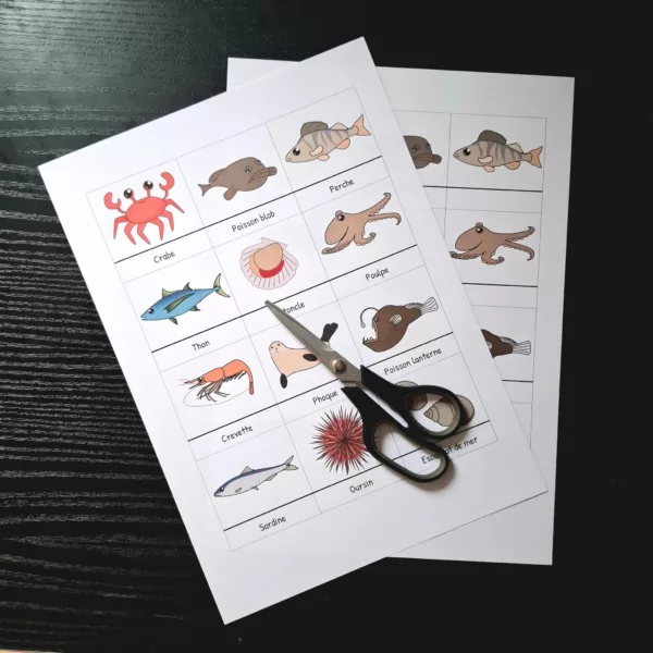 Pack pictogrammes - Animaux aquatiques