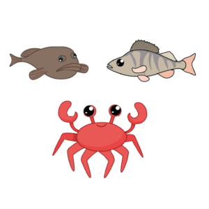 Pack Pictogrammes Animaux aquatiques