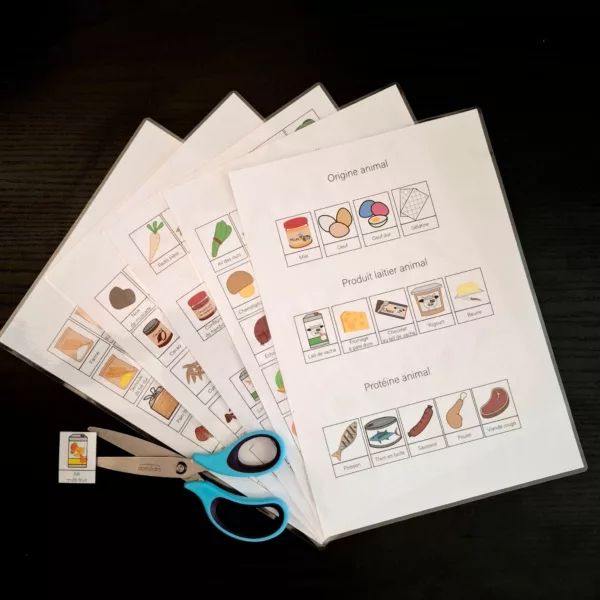 Kit Picto Alimentaires – Organisation & Liste de Courses (PDF)