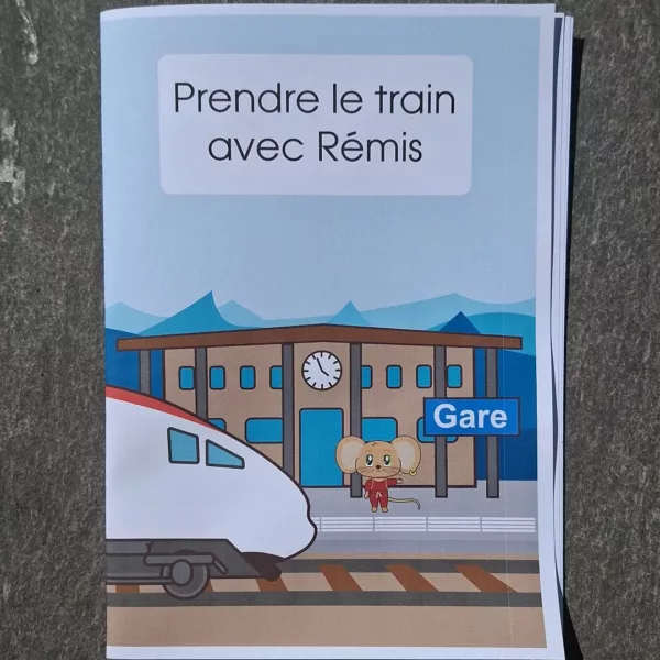 Prendre le train avec Rémis Habilité social et règle dans le train
