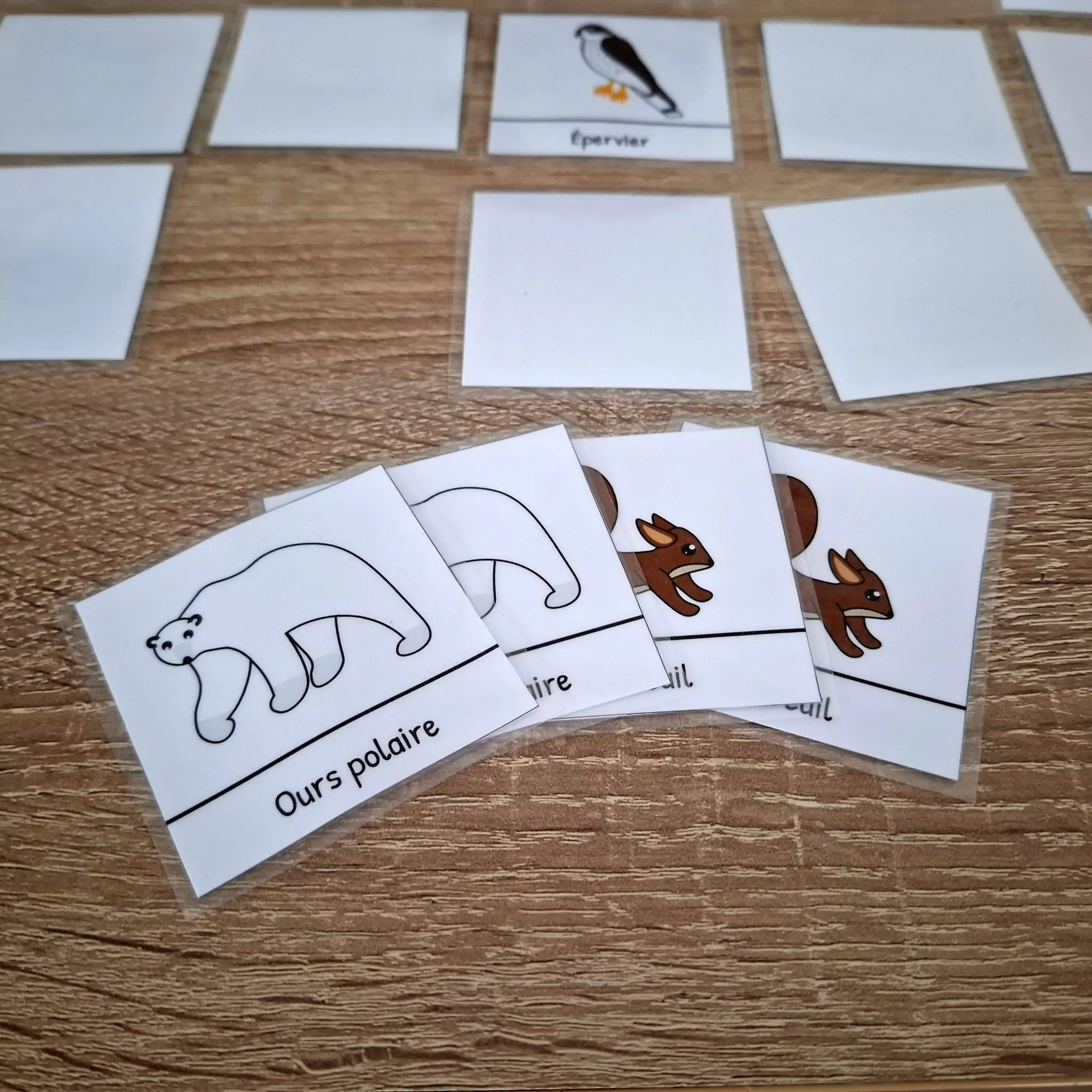 Memory - Animaux d'europe - Plastifié (paire parfaite)