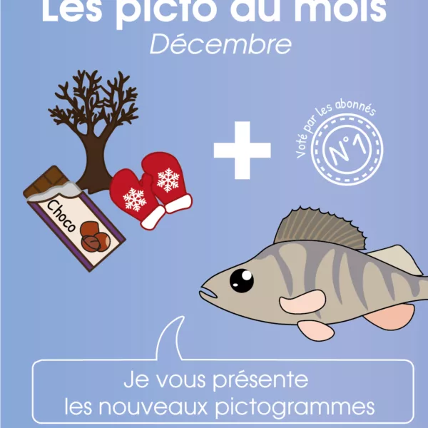 Pictogramme décembre