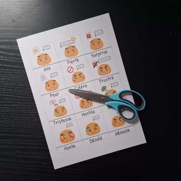 Pack 12 pictogramme émotion