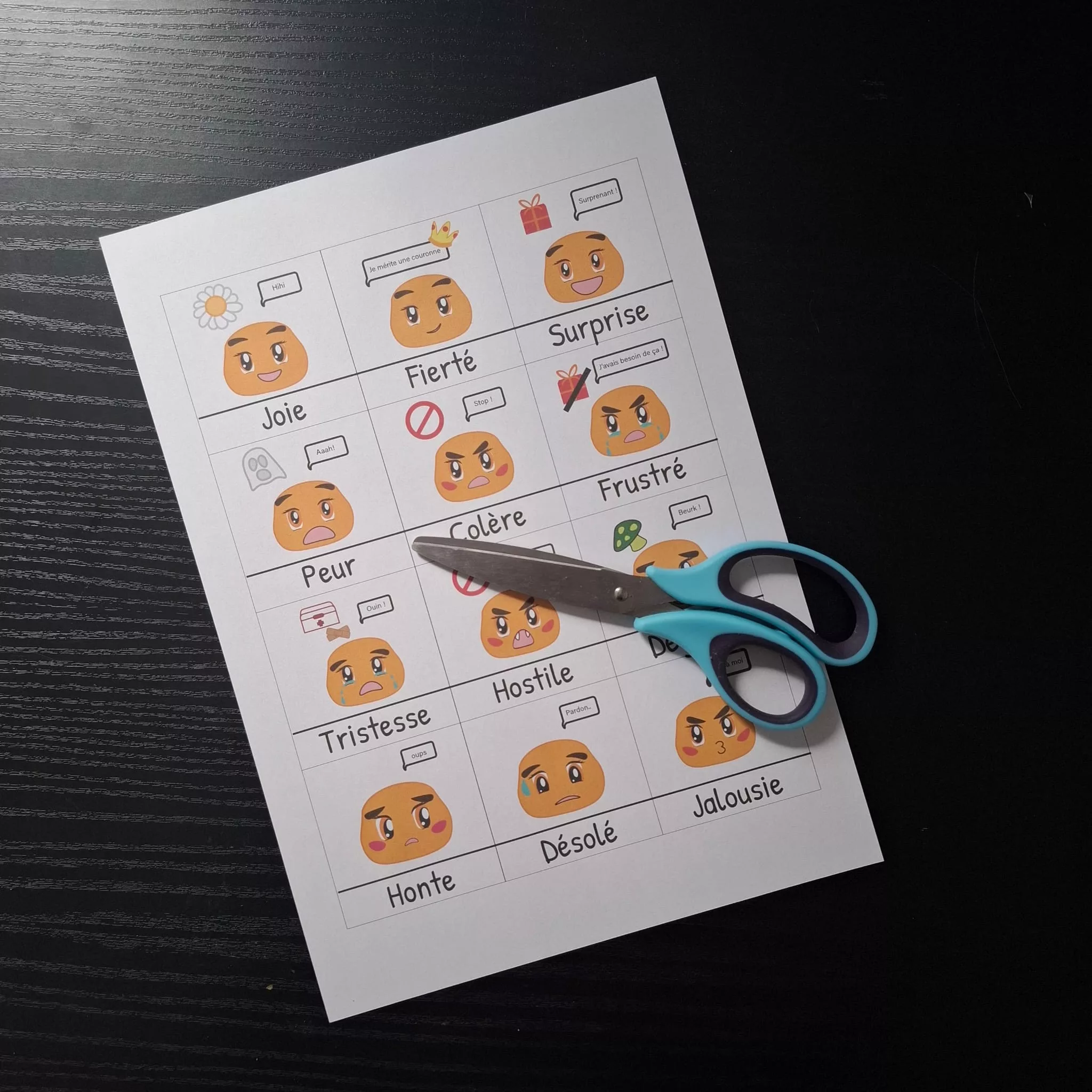 Pack 12 pictogramme émotion